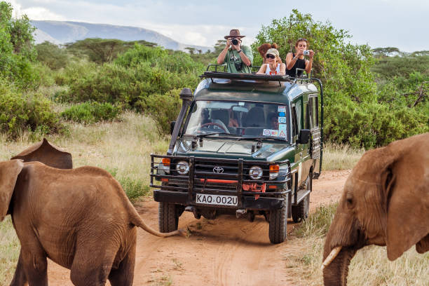Tourists photographing elephants from a safari jeep in Kenya