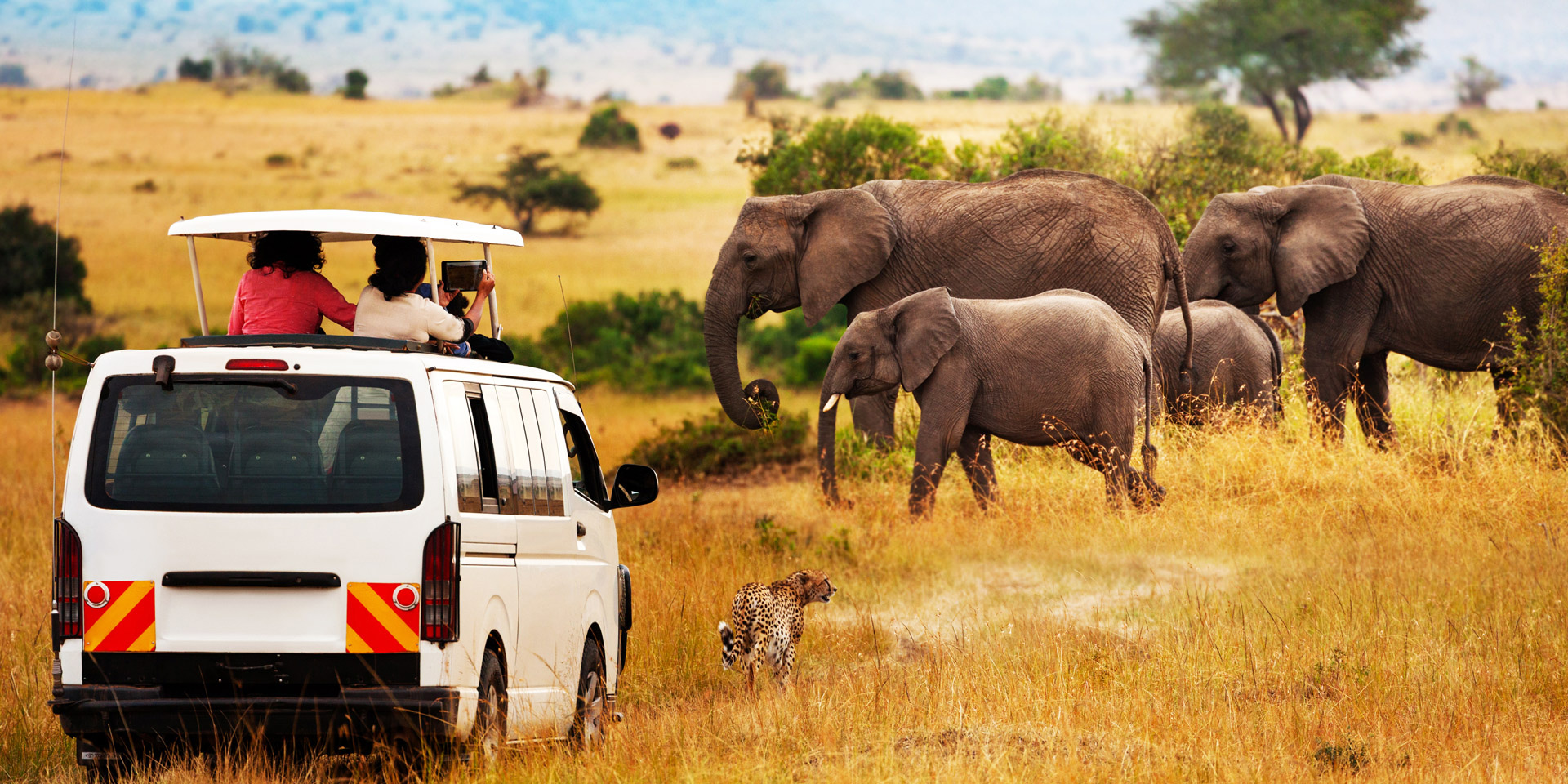 A tourist safari van viewing elephants on the Kenyan plains